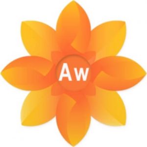 Artweaver Plus Crack & Portable Free Download